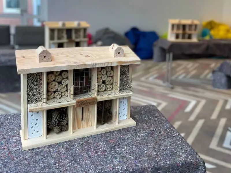 Teambuilding Social Day