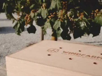 Nachhaltiges Teamevent: Windrad bauen